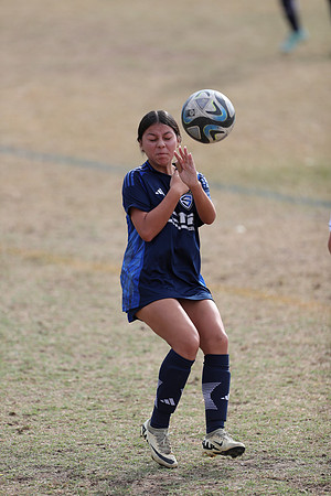 20241103StingG12-8530