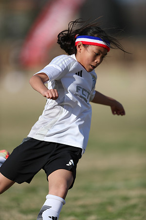 20250315StingAustingG14TigerCupG2-20674