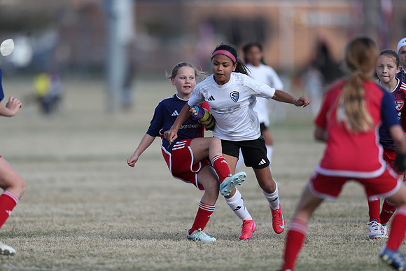 20250315StingAustingG14TigerCupG2-20486