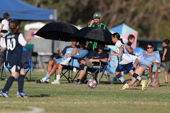 20241027StingG14G8Win-6117