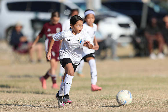 20241012StingG14Game6Win-4810