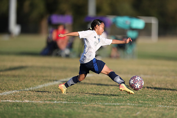 20241027StingG14G8Win-6545