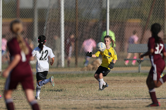 20241012StingG14Game6Win-3983