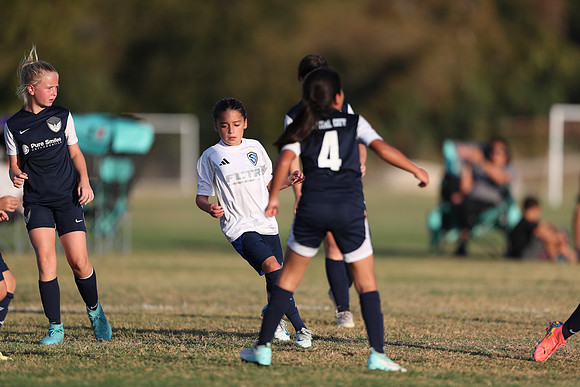20241027StingG14G8Win-6592