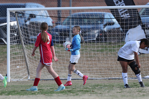 20250315StingAustingG14TigerCupG2-20539
