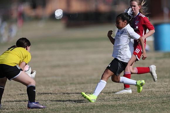 20250315StingAustingG14TigerCupG2-20130