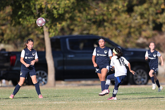 20241027StingG14G8Win-5779