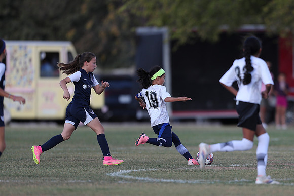 20241027StingG14G8Win-5503
