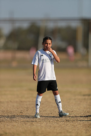 20241012StingG14Game6Win-4042