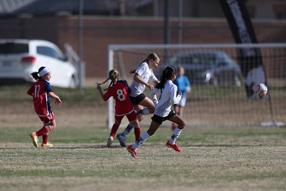 20250315StingAustingG14TigerCupG2-20293