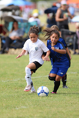20240831StingLaborDayG3-0606
