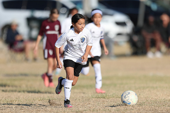 20241012StingG14Game6Win-4811
