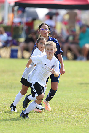 20240831StingLaborDayG2-0246