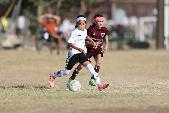 20241012StingG14Game6Win-4617