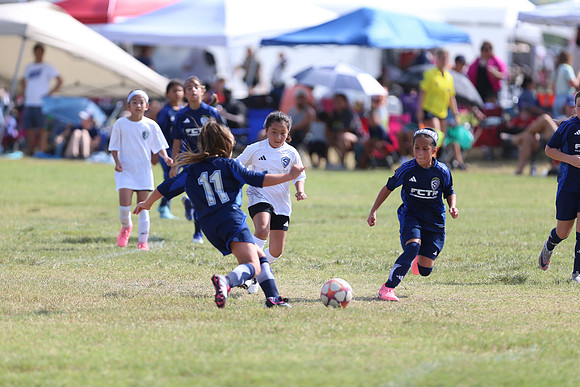 20240831StingLaborDayG2-0325