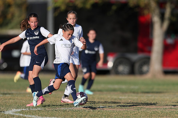 20241027StingG14G8Win-6218