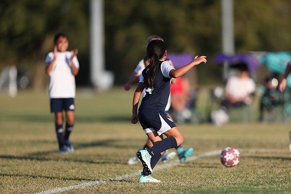 20241027StingG14G8Win-6582