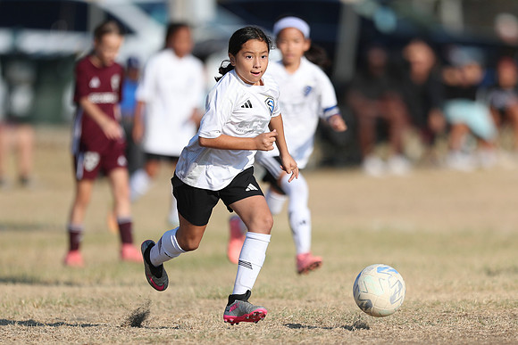 20241012StingG14Game6Win-4813