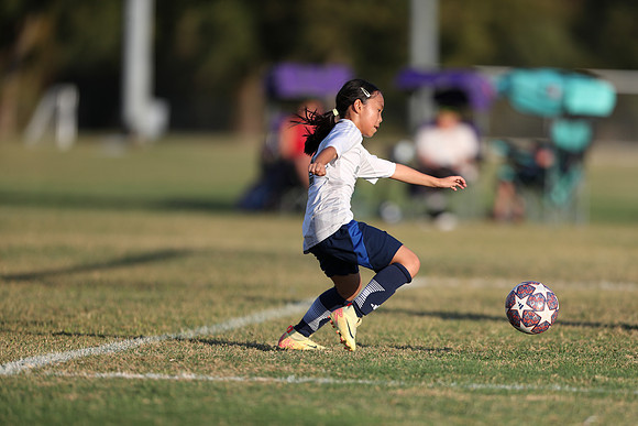 20241027StingG14G8Win-6544