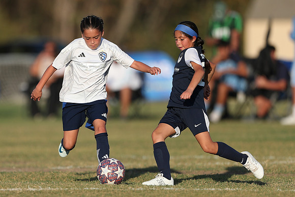 20241027StingG14G8Win-6628