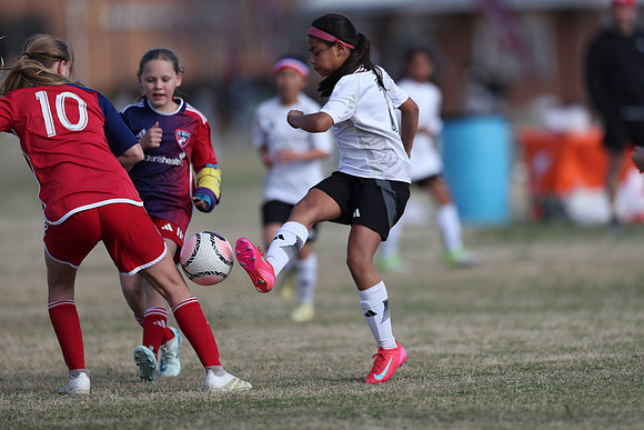 20250315StingAustingG14TigerCupG2-20561