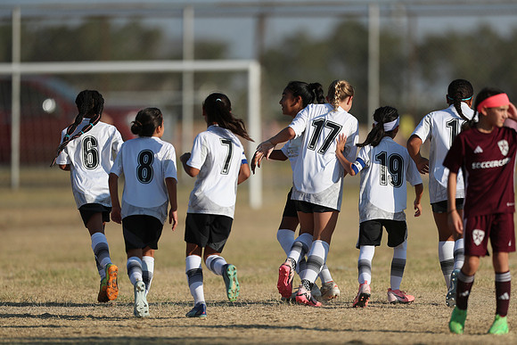 20241012StingG14Game6Win-4399