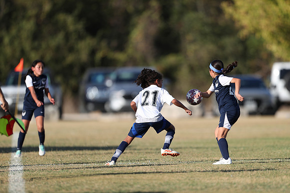 20241027StingG14G8Win-5572