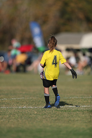 20241027StingG14G8Win-5870