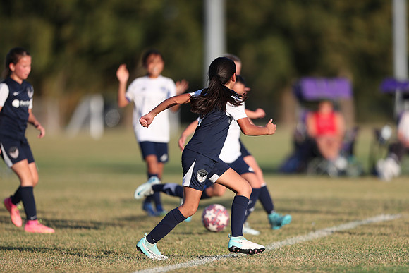 20241027StingG14G8Win-6579