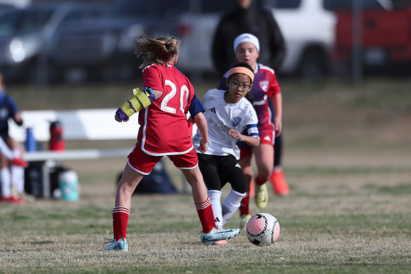 20250315StingAustingG14TigerCupG2-20597