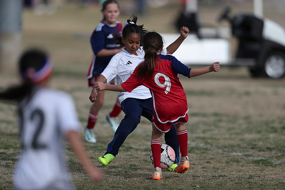 20250315StingAustingG14TigerCupG2-20622