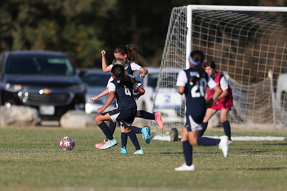 20241027StingG14G8Win-5791