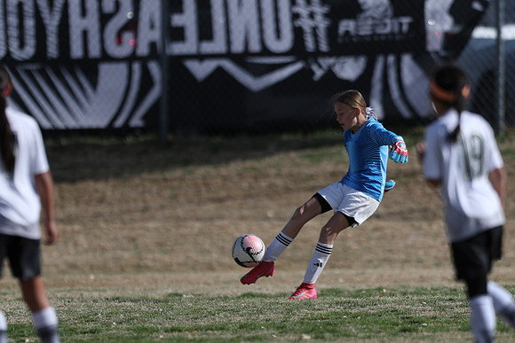 20250315StingAustingG14TigerCupG2-20057