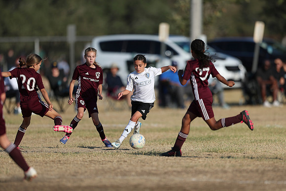 20241012StingG14Game6Win-4405