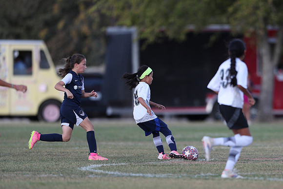 20241027StingG14G8Win-5504