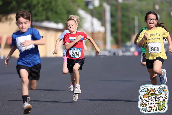 20250426HCMWildflower-3200