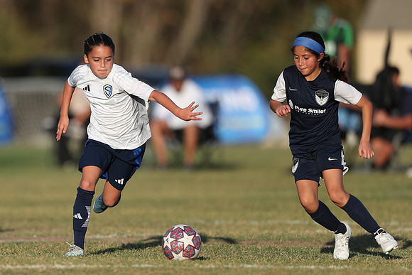 20241027StingG14G8Win-6627