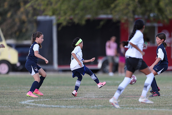 20241027StingG14G8Win-5506