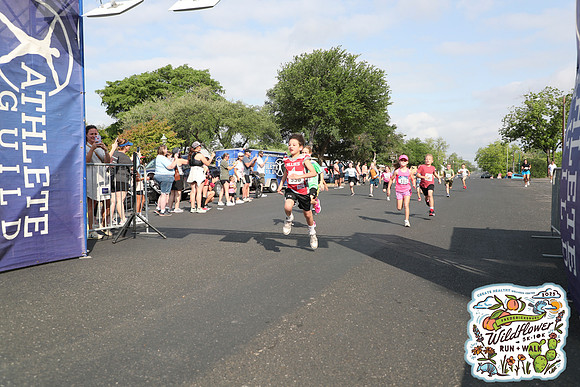 20250426HCMWildflower-22493
