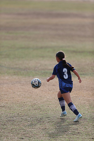 20241103StingG12-8561