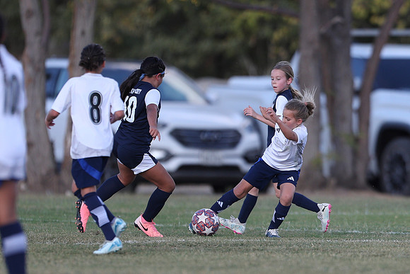 20241027StingG14G8Win-5718