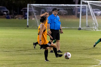 Crush Soccer Nov 3