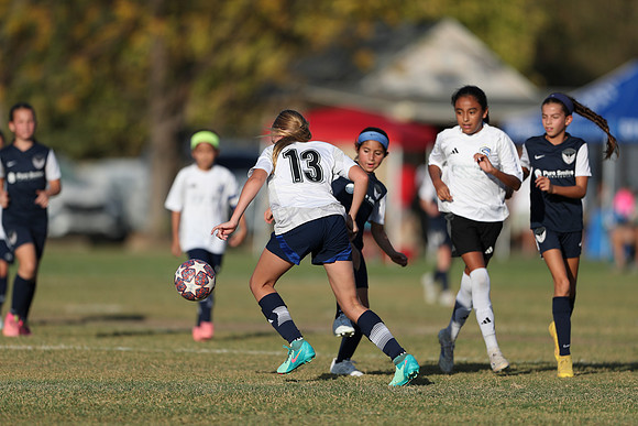 20241027StingG14G8Win-5974