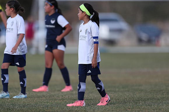20241027StingG14G8Win-5630